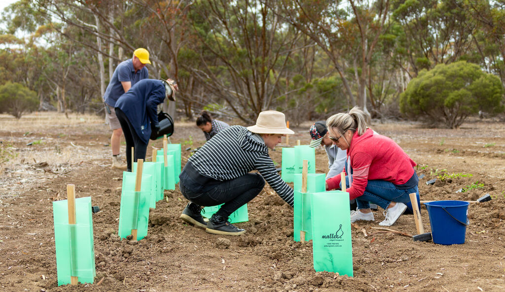 Pembroke Support Staff Tree Planting 19 04 2021 48