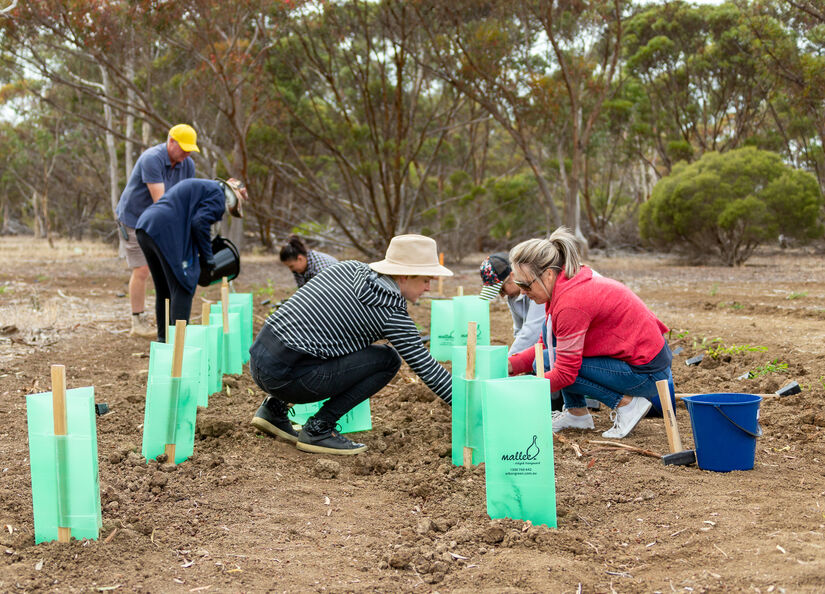 Pembroke Support Staff Tree Planting 19 04 2021 48