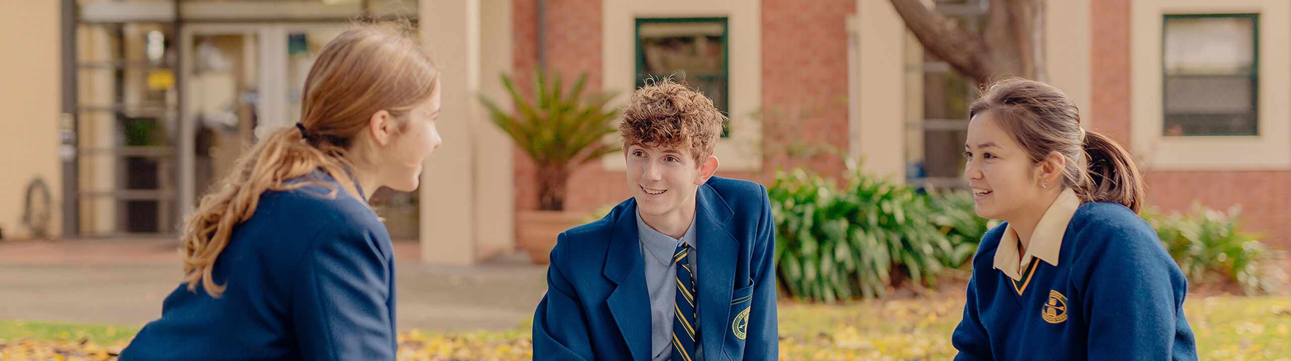 Simple Pembroke 2021 05 May 26 6855