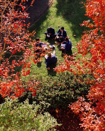 Students sitting outside - Autumn