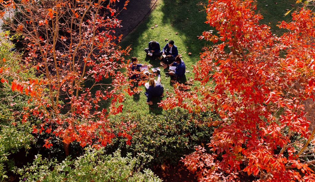 Students sitting outside - Autumn