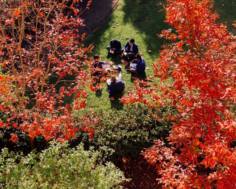 Students sitting outside - Autumn