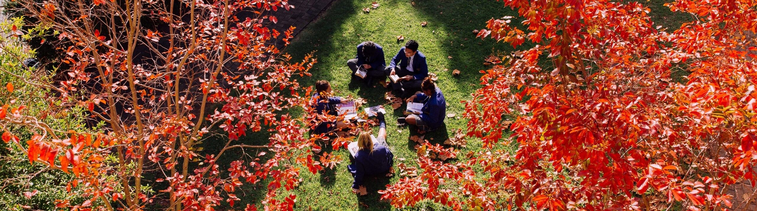 Students sitting outside - Autumn