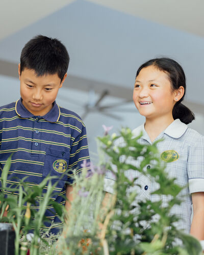 Junior School students with plants
