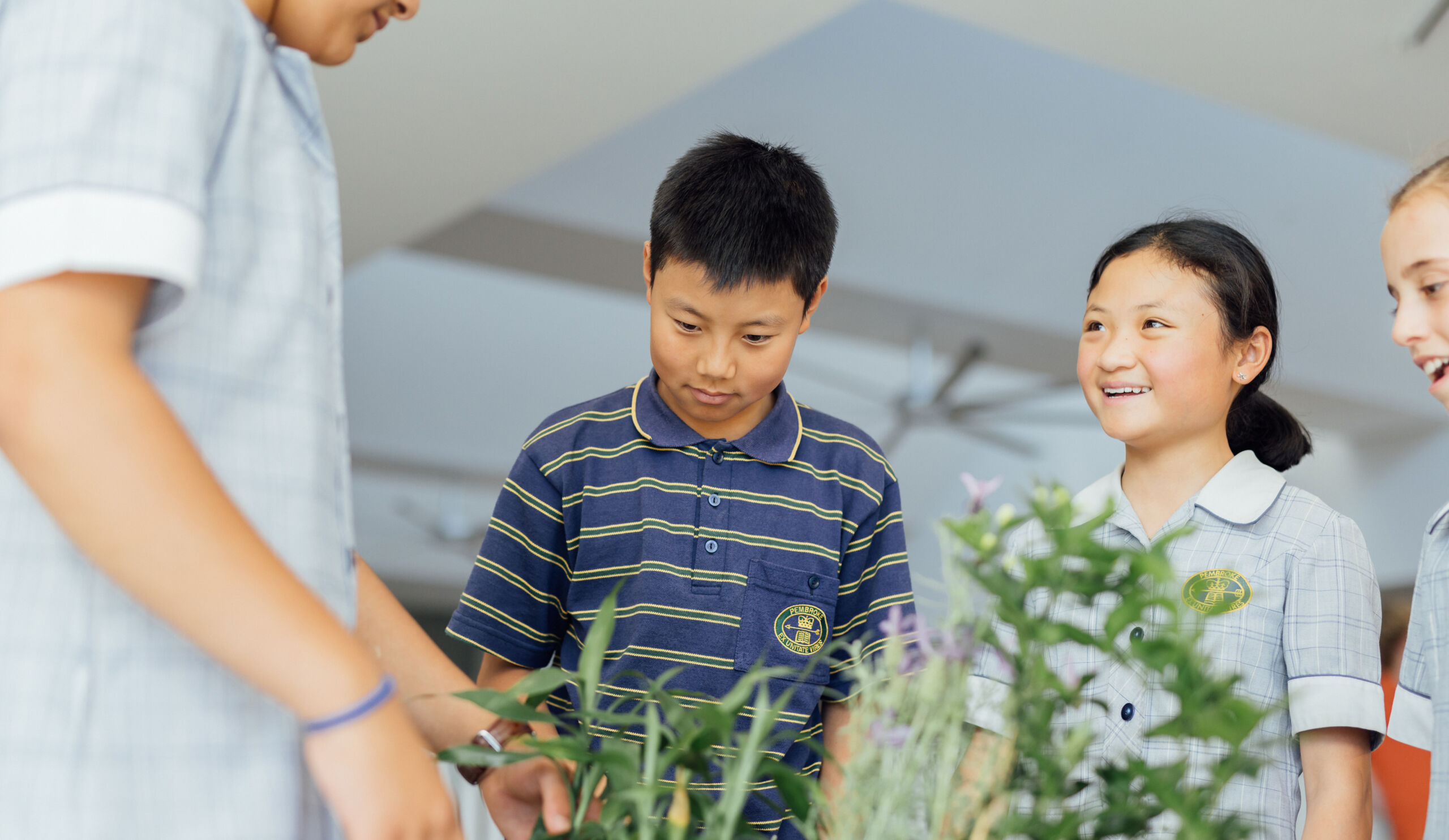 Junior School students with plants