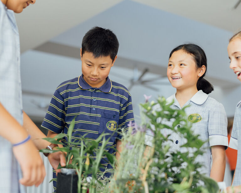 Junior School students with plants