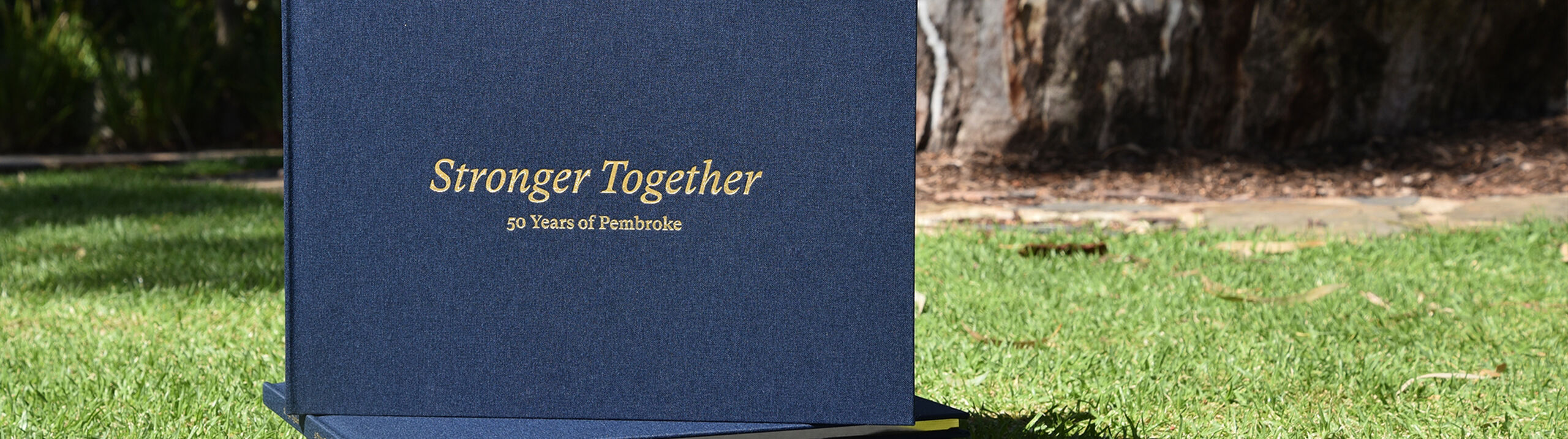 Stronger Together Banner 1