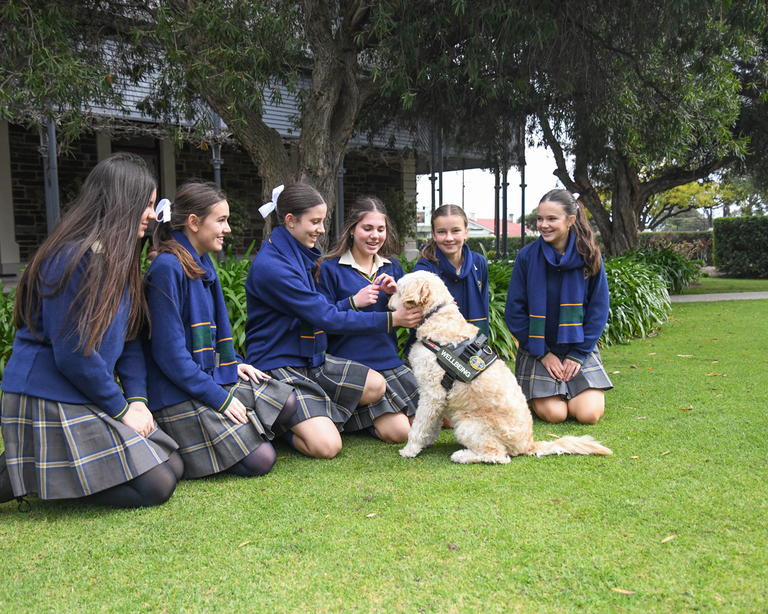 Well being Dog Ted with students