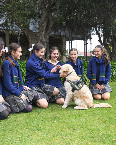 Well being Dog Ted with students