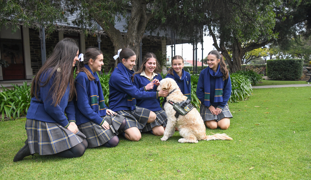 Well being Dog Ted with students