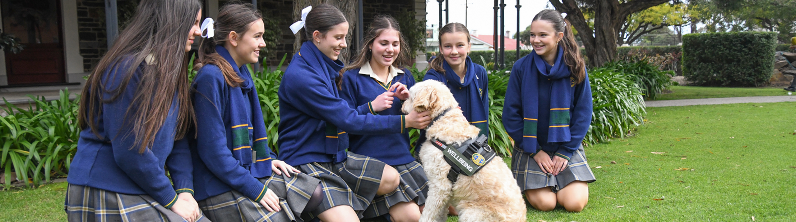 Well being Dog Ted with students