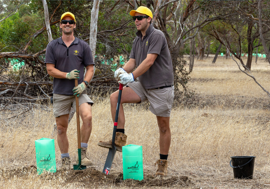 Peter Sulicich Tree planting day