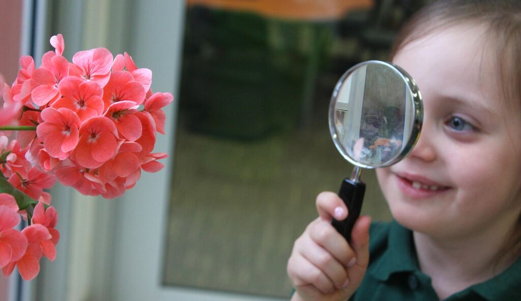 Junior student learning