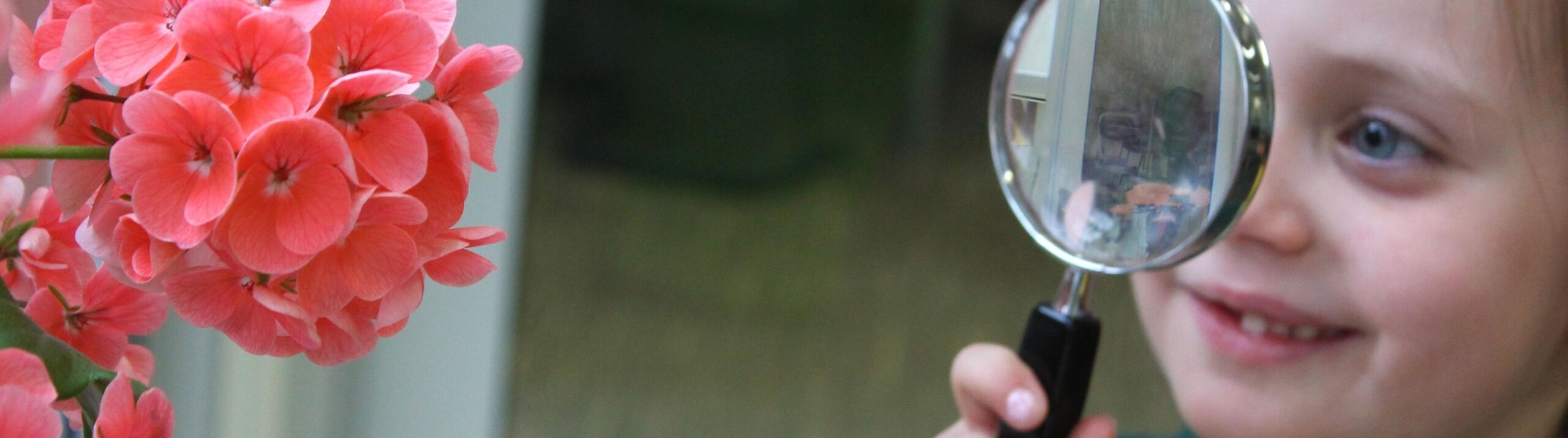 Junior student learning