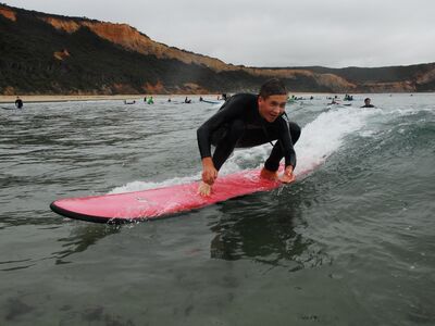 Surf Safari