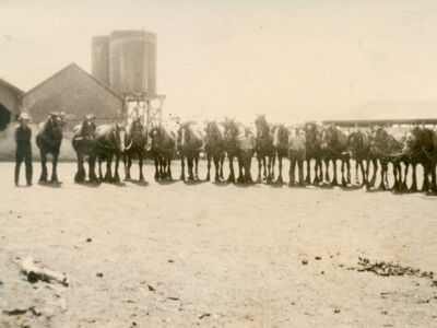 Sharefarmers with two teams of horses at Old Watalunga in 1928