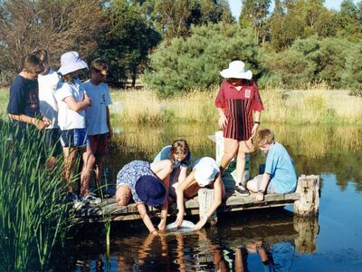 Students dabbling at Old Watalunga in 1995