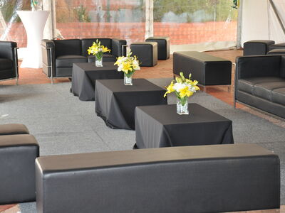 Preparations for Pembroke's 40 Year Celebrations