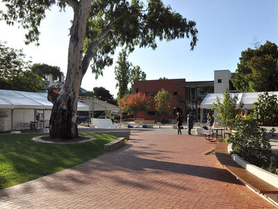 Preparations for Pembroke's 40 Year Celebrations