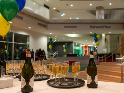 20-year and 30-year Reunions