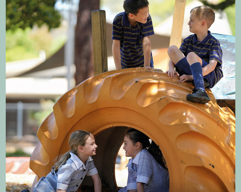 2024 Annual Report covercropped